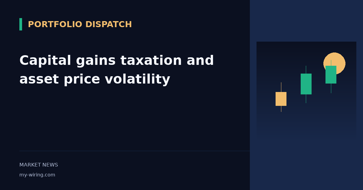 Capital gains taxation and asset price volatility