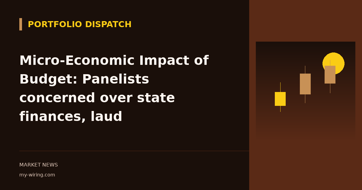 Micro-Economic Impact of Budget: Panelists concerned over state finances, laud