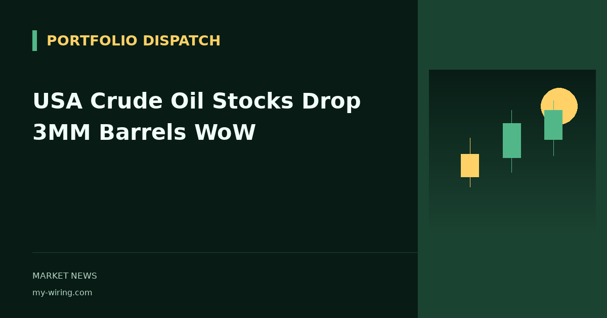 USA Crude Oil Stocks Drop 3MM Barrels WoW